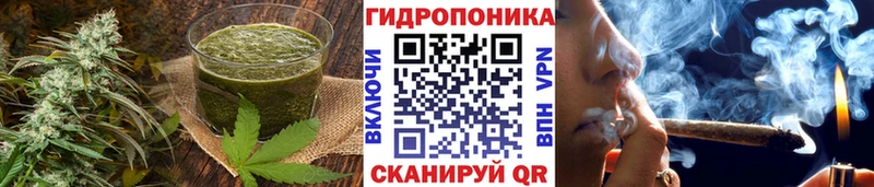 сайты даркнета как зайти  Костерёво  Cannafood конопля 