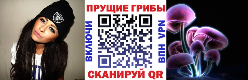 это клад  Костерёво  Псилоцибиновые грибы прущие грибы  купить  цена 